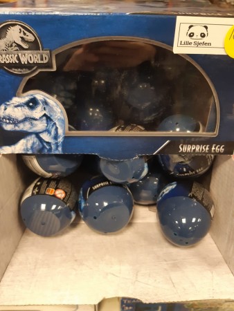 Dinosaur egg